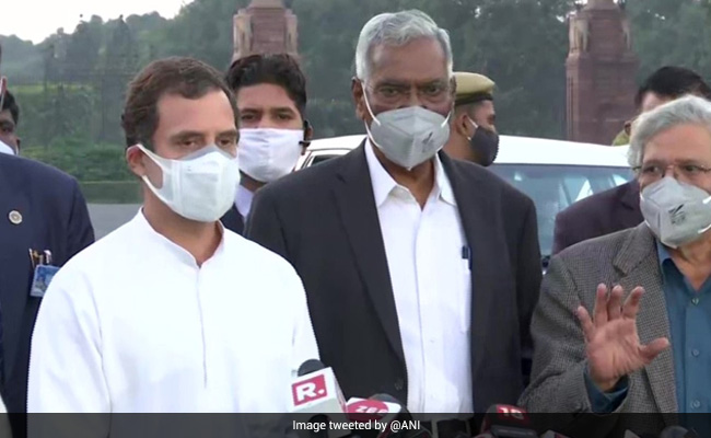 कृषि कानूनों के मुद्दे पर आज फिर राष्ट्रपति से मिलेंगे राहुल गांधी, विजय चौक से राष्ट्रपति भवन तक करेंगे प्रदर्शन