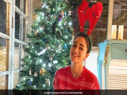 'Tis The Season To Be Jolly With Ananya Panday And Other Celebs. See What Stars Posted On Christmas Eve 'Tis The Season To Be Jolly With Ananya Panday And Other Celebs. See What Stars Posted On Christmas Eve