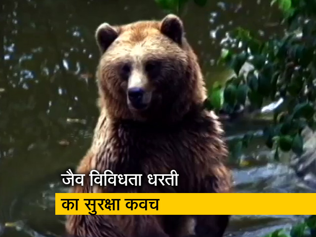 बनेगा स्वस्थ इंडिया : जैव विविधता हमारी धरती का इम्युनिटी सिस्टम