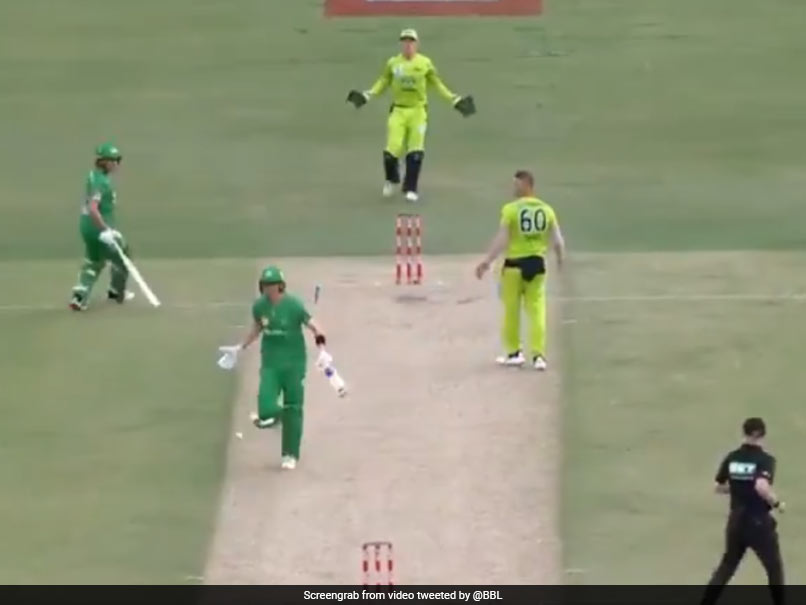 "Hide The Ball And Run": Melbourne Stars Batsman Nick Larkin Tries To Steal Single With Ball Stuck Inside Jersey In BBL 2020. Watch