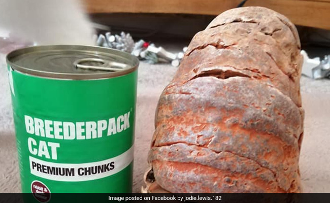 Mistaken For Fossil, Grenade Explodes Inside Home