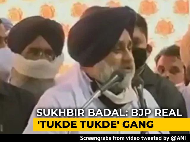 "BJP Is Real <i>Tukde Tukde</i> Gang, Trying To Divide Punjab": Sukhbir Badal