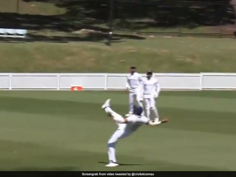 Watch: Prithvi Shaw's "Unbelievable Grab" To Dismiss Tim Paine In Practice Match