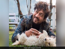 In Memoriam: Irrfan Khan, Rishi Kapoor, Sushant Singh Rajput And Others We Lost In 2020 In Memoriam: Irrfan Khan, Rishi Kapoor, Sushant Singh Rajput And Others We Lost In 2020