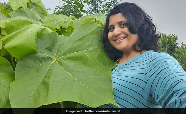 Baba Amte's Granddaughter Dies By Suicide: Cops