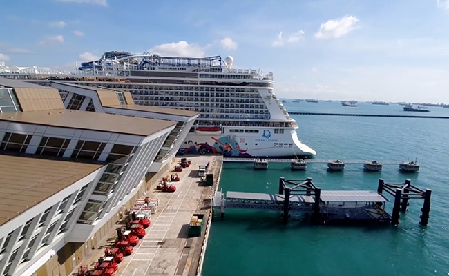 Covid Scare On Singapore Cruise Ship Was "False Alarm", Say Authorities