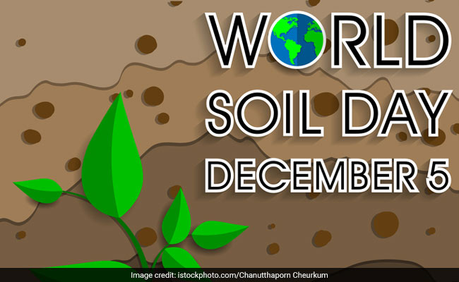World Soil Day 2020: 5 दिसबंर को मनाया जाता है ''विश्व मृदा दिवस'', जानें क्या है इसका इतिहास ?
