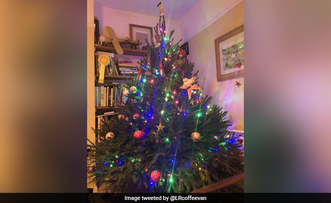 Christmas Eve: Enjoy Decorating Your Christmas Tree Today. Here's How