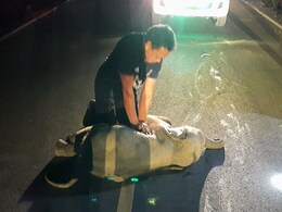 Baby Elephant Hit By Motorcycle Survives After Receiving CPR Baby Elephant Hit By Motorcycle Survives After Receiving CPR