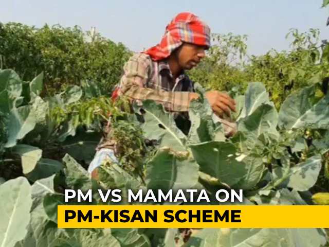 In Rural Bengal, Anguish Over Low Prices For Crop