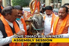 Karnataka BJP Holds Puja For Cows, Passes Anti-Slaughter Bill In Assembly Karnataka BJP Holds Puja For Cows, Passes Anti-Slaughter Bill In Assembly