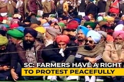 Farmer Protests Can Continue But Talks Needed: Supreme Court Farmer Protests Can Continue But Talks Needed: Supreme Court