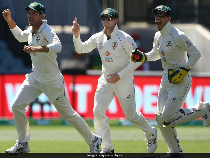 Australia vs India, 2nd Test: Tim Paine Becomes Fastest Wicket-Keeper To Record 150 Dismissals In Test Cricket