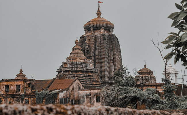 Stone Structure Suspected To Be Remains Of Ancient Temple Found In Odisha