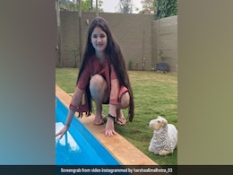 'बजरंगी भाईजान' की 'मुन्नी' ने Photo की शेयर, बोलीं- हर किसी के चेहरे पर मुस्कान दें और... 'बजरंगी भाईजान' की 'मुन्नी' ने Photo की शेयर, बोलीं- हर किसी के चेहरे पर मुस्कान दें और...