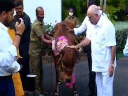 Falling Short In Council, Karnataka Government Takes Ordinance Route To Cow Protection Falling Short In Council, Karnataka Government Takes Ordinance Route To Cow Protection