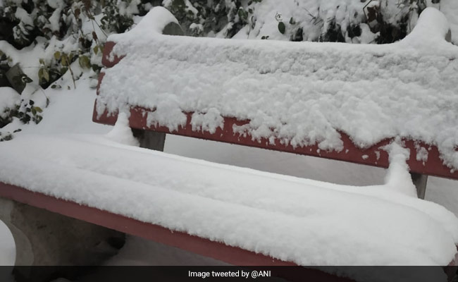 Snowfall And Cold Wave: Know How The 2020 Year-End Weather Will Be