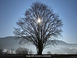 India Witnessing Shortest Day Of The Year Today. Here's Why India Witnessing Shortest Day Of The Year Today. Here's Why