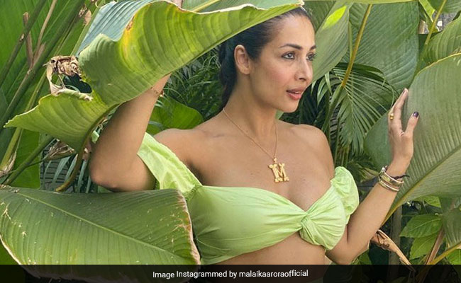 Malaika Arora's Post Reminds The Internet Of A Lot Of Things. Cabbage Is One