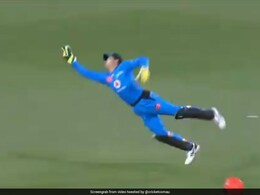 Watch: Adelaide Strikers Skipper Alex Carey Throws Himself In The Air To Pull Off A Stunning Catch In BBL 2020 Watch: Adelaide Strikers Skipper Alex Carey Throws Himself In The Air To Pull Off A Stunning Catch In BBL 2020