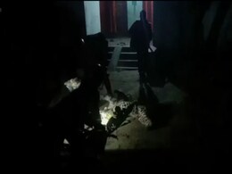 Leopard Attacks Bengal Forest Workers, Thrashed, Killed In "Self Defence" Leopard Attacks Bengal Forest Workers, Thrashed, Killed In "Self Defence"