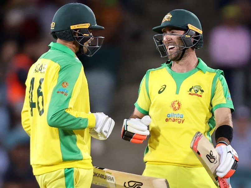 India vs Australia: Glenn Maxwell Sees Nothing Wrong In Playing Switch-Hit Shot, Says It's "Within The Laws"