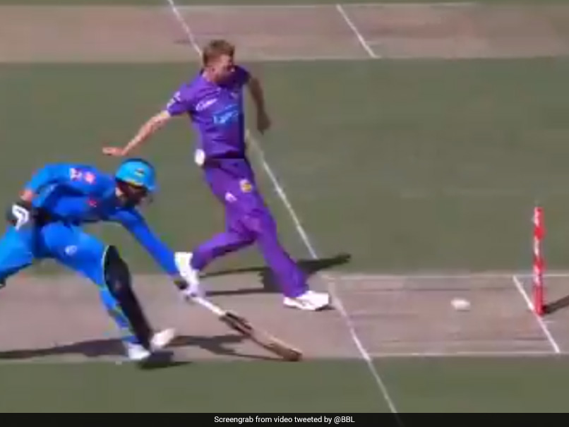 "Moustache Has Super Powers": Hobart Hurricanes Bowler Runs Out Batsman With Fancy Footwork In BBL 2020. Watch