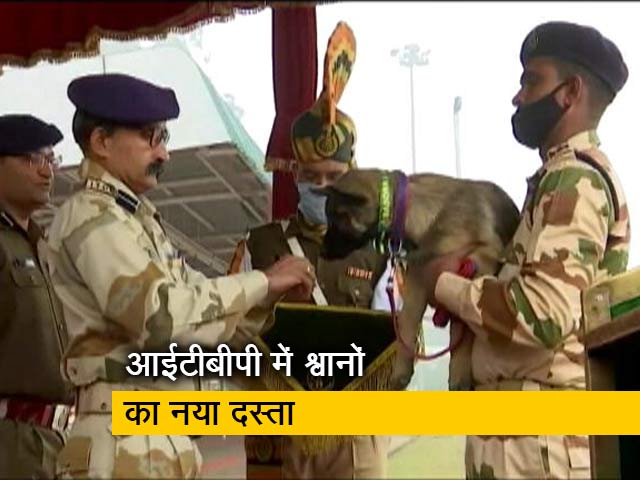 देसी नामों के साथ 17 कुत्ते आईटीबीपी की डॉग स्क्वायड में हुए शामिल