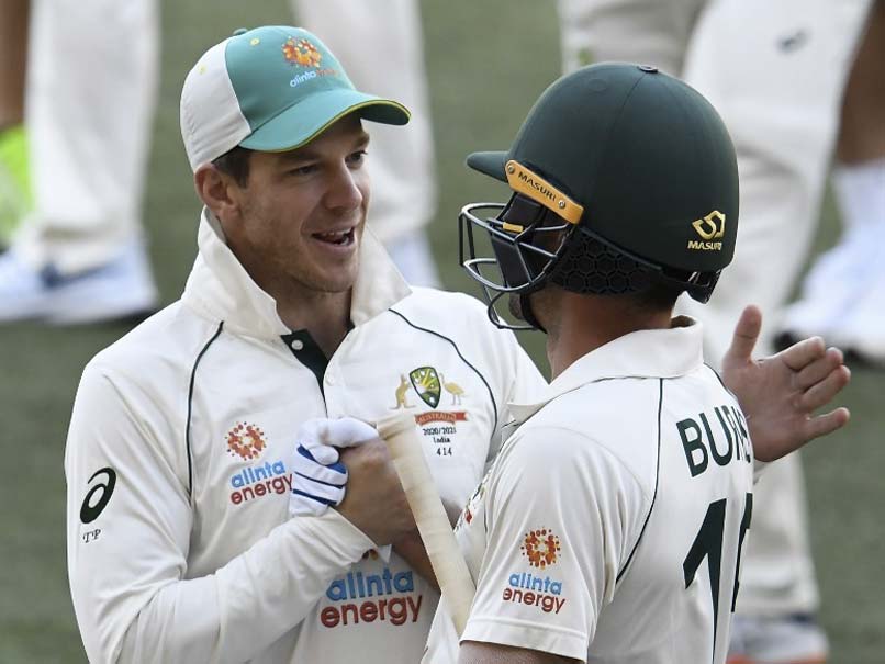 Australia vs India, 1st Test: Was Expecting A "Real Dogfight", Says Tim Paine