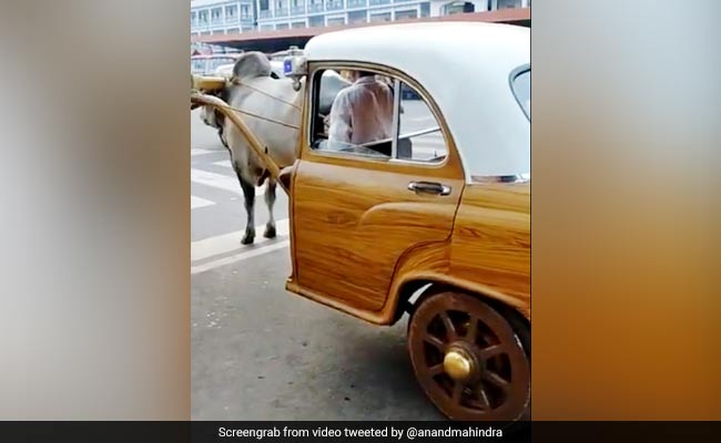 शख्स ने जुगाड़ से एम्बैसेडर कार लगाकर बनाई बैलगाड़ी, आनंद महिंद्रा बोले - कोई मुकाबला नहीं - देखें Video