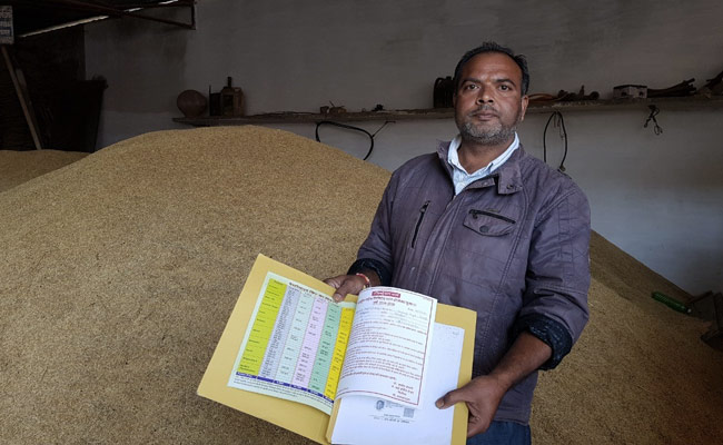 Madhya Pradesh Farmers In Lurch As Rice Firm Goes Back On Contractual Promise