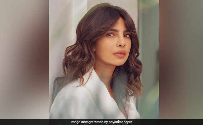 प्रियंका चोपड़ा ने बताया- कम समय में कैसे कर सकते है मेकअप, शेयर किया Zoom Glam Tutorial वीडियो