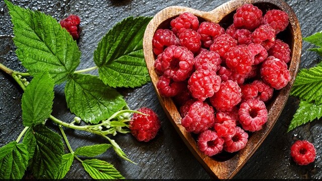 Weight loss diet Sweat trainer Kayla Itsines shared a few healthy dessert ideas on Instagram