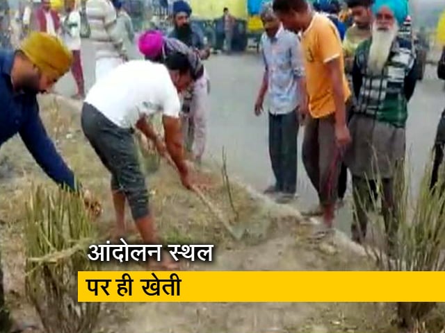 Video : आंदोलन की जगह पर सब्जियां उगा रहे किसान