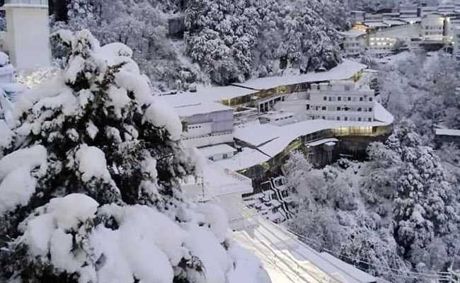 Snowfall In Kashmir Brings Cheer, New Year May See More Tourist Footfall
