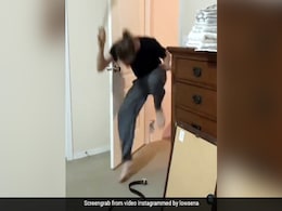 पत्नी ने नकली सांप के साथ पति पर किया Prank, दरवाजा खोलते ही तलवार से करने लगा वार - देखें Video पत्नी ने नकली सांप के साथ पति पर किया Prank, दरवाजा खोलते ही तलवार से करने लगा वार - देखें Video