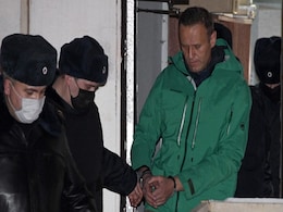 UN Experts Urge International Probe In Navalny Poisoning UN Experts Urge International Probe In Navalny Poisoning