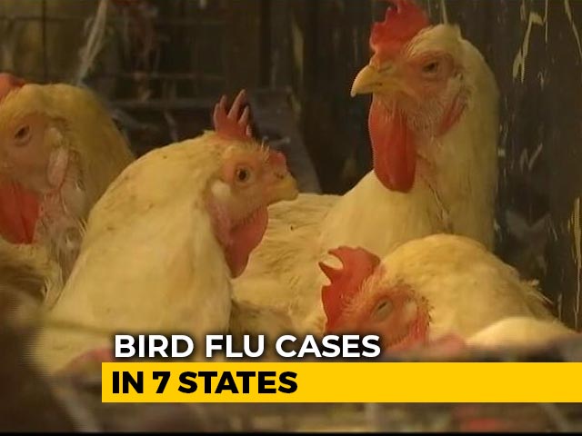 Avian Flu Confirmed In 7 States, Centre Scrambles To Limit The Spread