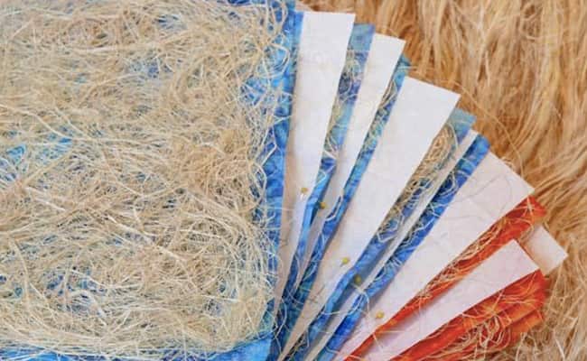 केले के रेशे से बने हैं ये रियूजेबल सेनेटरी पैड्स, जानें क्या है इनकी खासियत