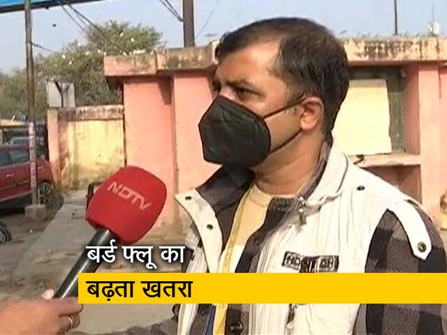 बर्ड फ्लू का खतरा, गाजीपुर मंडी में जांच