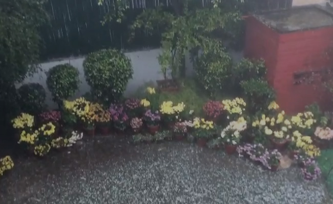 Watch: Rain, Hailstorm In Delhi And Nearby Areas