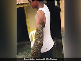 लड़के के पूरे हाथ पर मधुमक्खियों ने बना लिया छत्ता, फिर हुआ कुछ ऐसा, लोग बोले- सुपर पावर...देखें Viral Video लड़के के पूरे हाथ पर मधुमक्खियों ने बना लिया छत्ता, फिर हुआ कुछ ऐसा, लोग बोले- सुपर पावर...देखें Viral Video