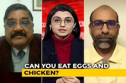 Bird Flu's Effect On Humans: All You Need To Know Bird Flu's Effect On Humans: All You Need To Know