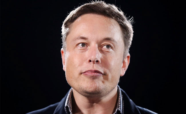 "Papa Musk" Tweets Raise Cheer In Wrong Clubhouse