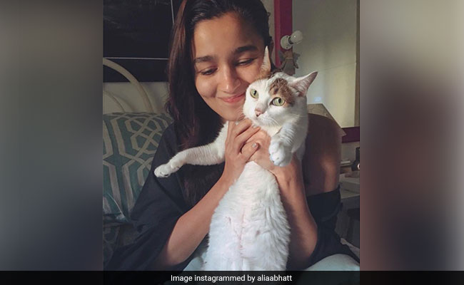 Alia Bhatt Mourns Pet Cat Sheeba: "Goodbye, My Angel"