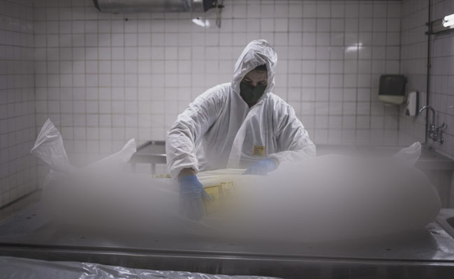 Over 2/3rd Africans May Have Had Covid, 97 Times More Than Reported: WHO