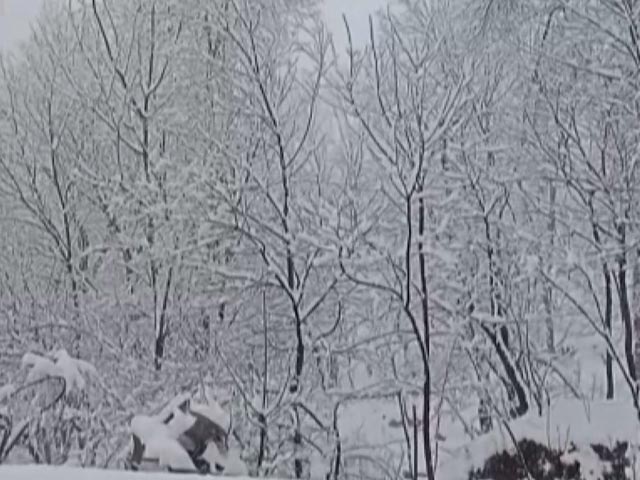 Heavy Snowfall Disrupts Normal Life In Kashmir Valley