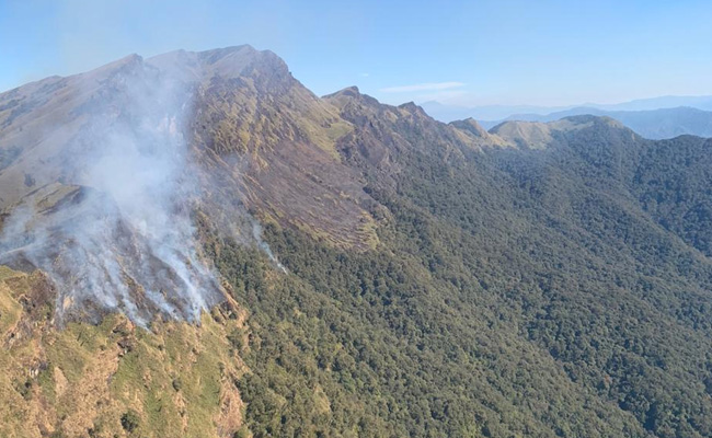 Forest Fire In Nagaland's Dzukou Range Under Control, Say Officials: Report