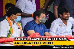 Rahul Gandhi Slams Centre At Jallikattu Event In Poll-Bound Tamil Nadu Rahul Gandhi Slams Centre At Jallikattu Event In Poll-Bound Tamil Nadu