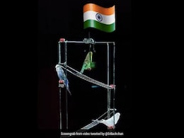 शख्स ने पक्षियों की मदद से यूं लहराया तिरंगा झंडा, अमिताभ बच्चन ने शेयर किया Video शख्स ने पक्षियों की मदद से यूं लहराया तिरंगा झंडा, अमिताभ बच्चन ने शेयर किया Video